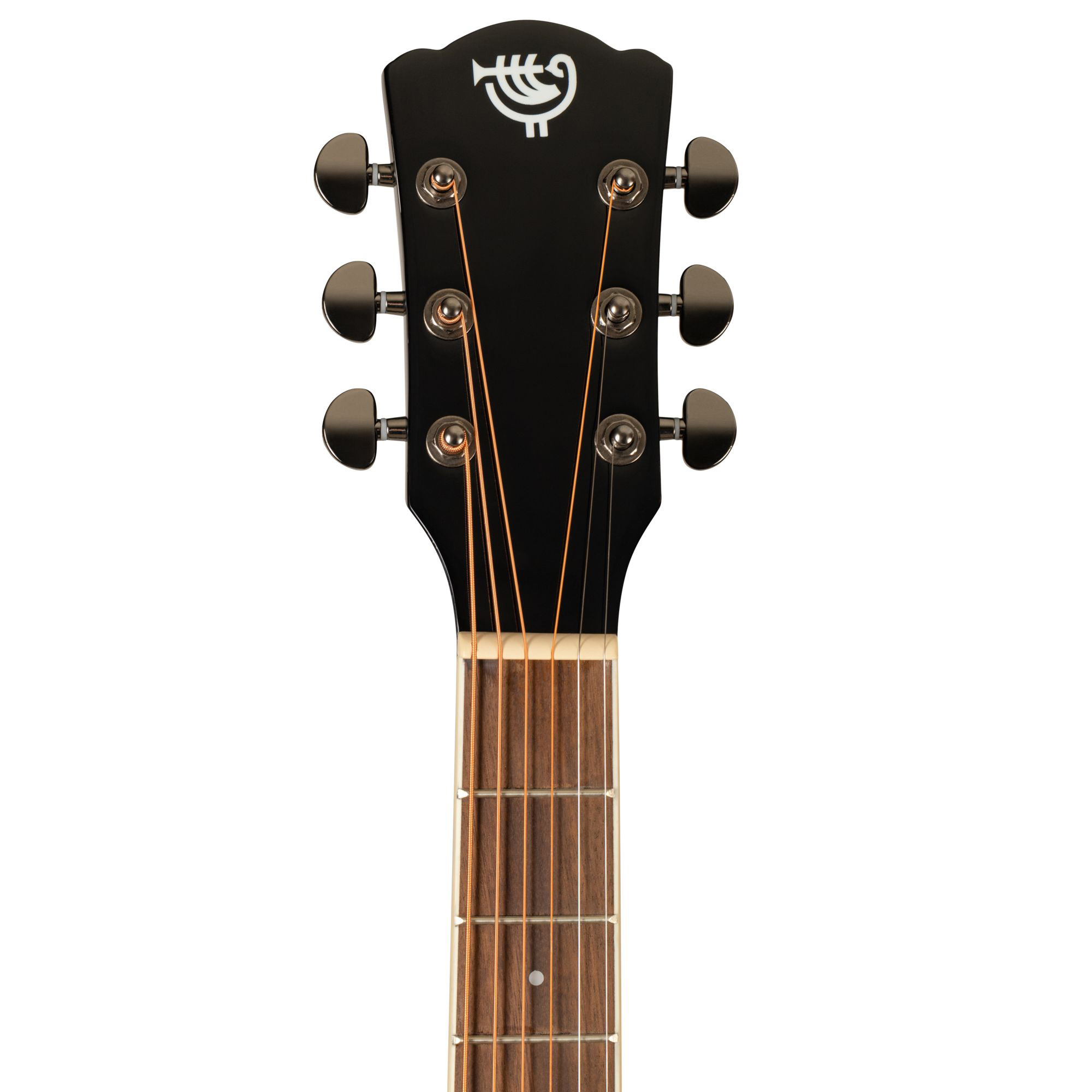 Rockdale Aurora D6 C BK Gloss Акустические гитары
